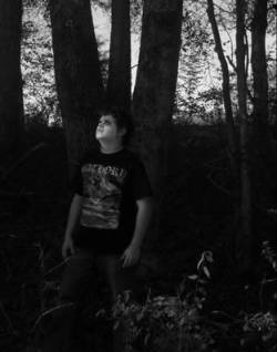 A Scream in the Southern Night